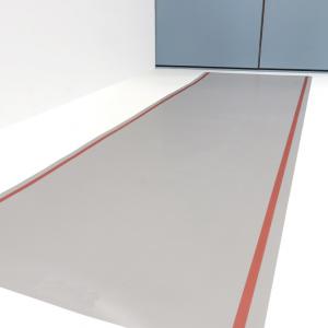 Protezione acceso alla camera pulita TAPPETO_DECONTAMINANTE_LAVABILE_LTE
